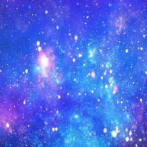 Meet your Posher, Angelina